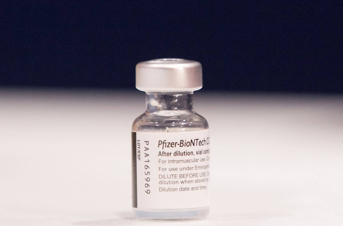 Mezcla de dosis de Sonivac y Pfizer aumenta “salvajemente” la inmunidad contra Covid-19
