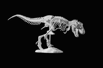 Disfruta de Jurassic Immersion en CDMX: ¿Cuánto cuesta?