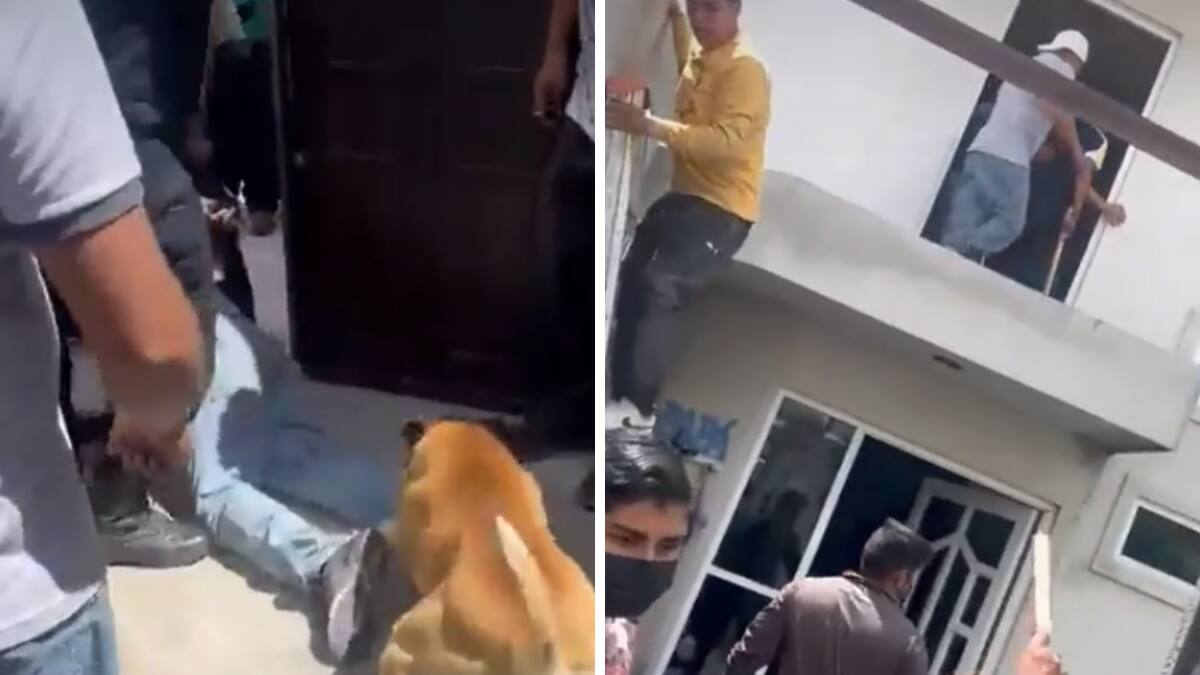 VIDEO| Perrito ayuda al linchamiento de un ladrón y se hace viral