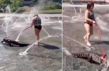 VIDEO | Niña pasea a caimán con correa por el parque y se hace viral