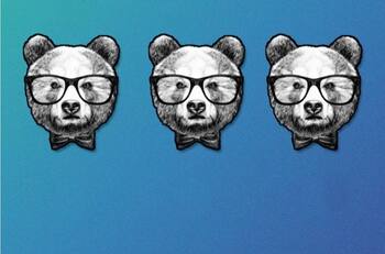 Acertijo visual: ¿Cuál es el oso diferente? Tienes 30 segundos para descubrirlo