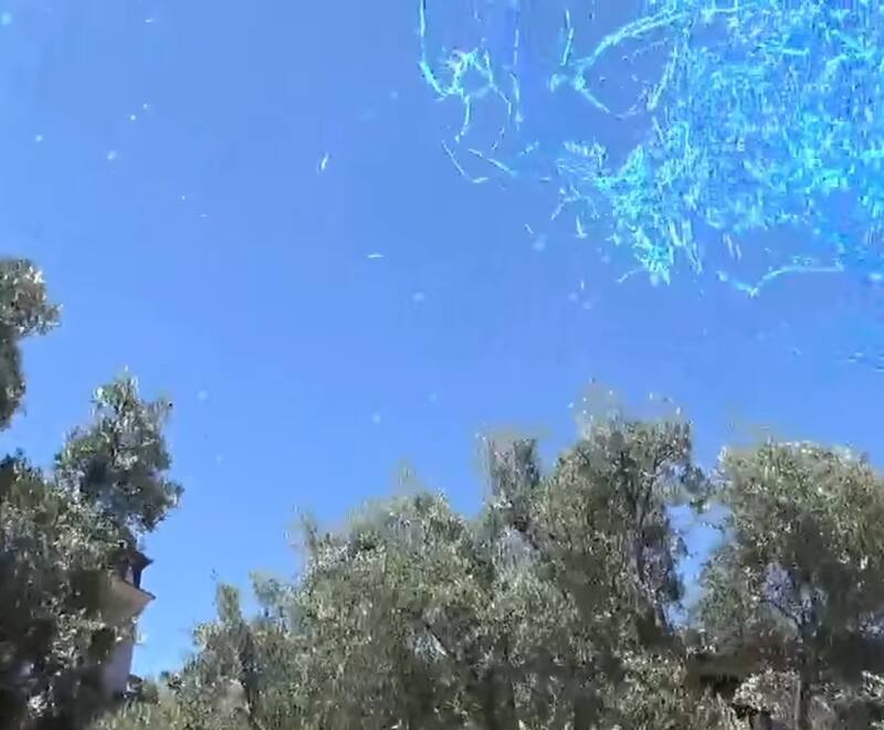 La pareja reveló el sexo de su bebé.