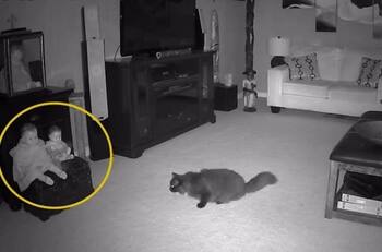 VIDEO: Fantasma salió del cuerpo de una muñeca y atacó a un gato