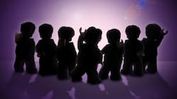 LEGO y BTS: Todo lo que tienes que saber del nuevo set inspirado en la banda de k-pop