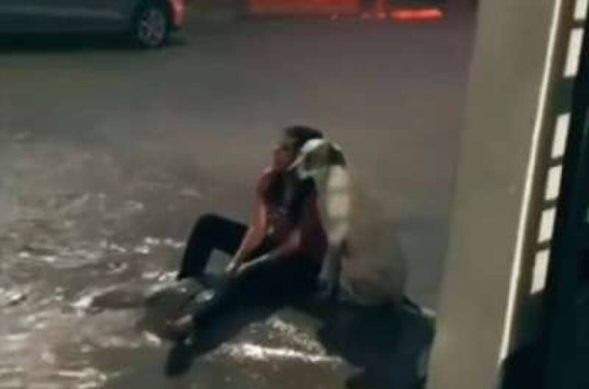 VIDEO | Perrito consuela a dueña que llora bajo la lluvia y se hace viral