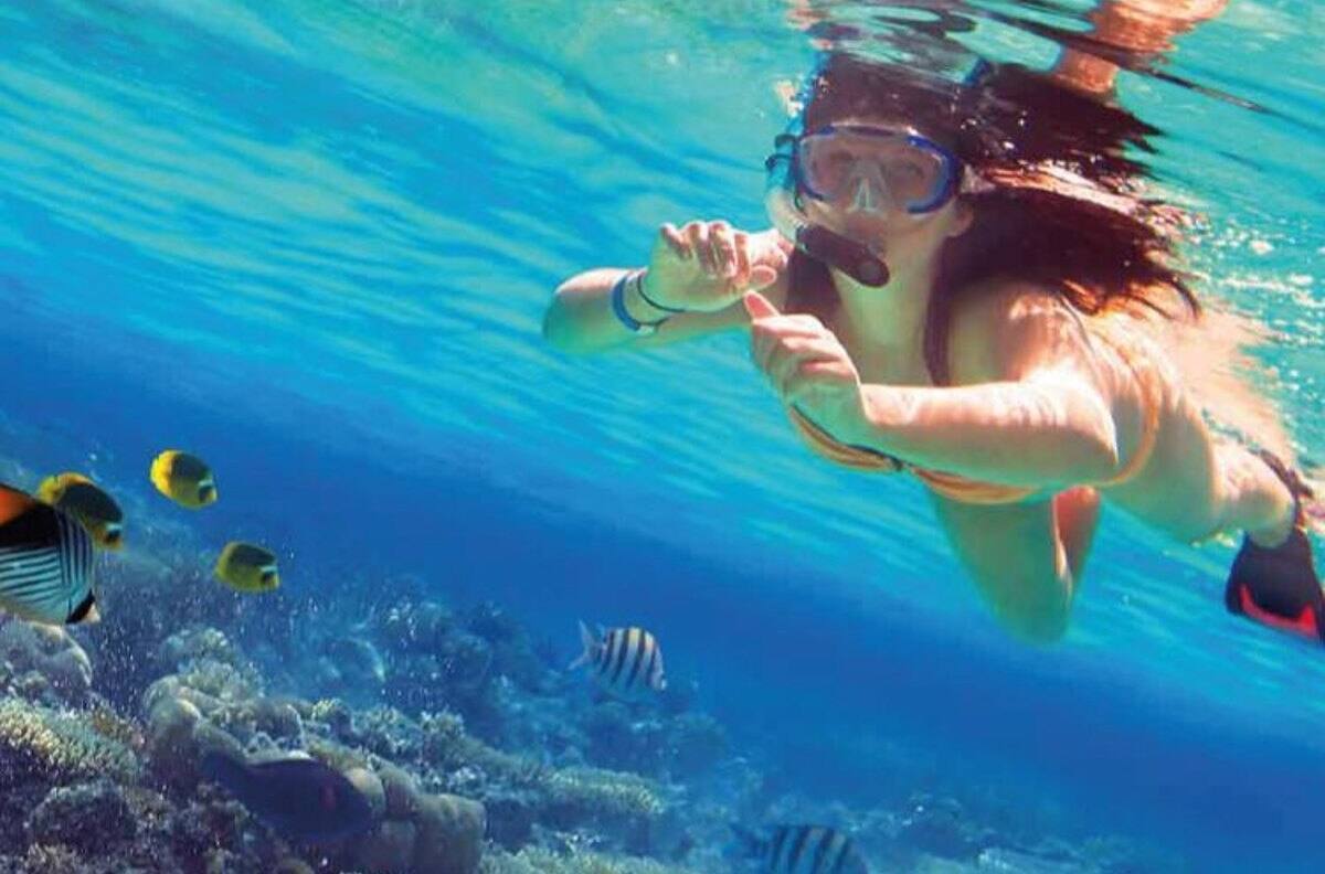 TURISSSTE: ¡Prepara las maletas! Así puedes pedir un préstamo de hasta 50 mil pesos para viajar