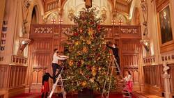 Hombre hace devolución de árbol de Navidad y se hace viral por tacaño