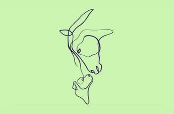 Test de personalidad: Esta prueba revelará si eres una persona racional