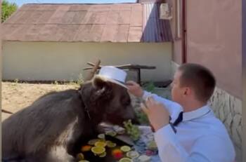 Video: Hombre se dio un baño relajante con su oso mascota