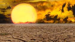 ¿Por qué se llama canícula? Este es el origen del nombre de este fenómeno climatológico