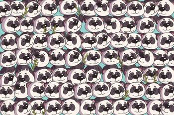 Acertijo visual: ¿Puedes encontrar el perro en menos de 10 segundos?