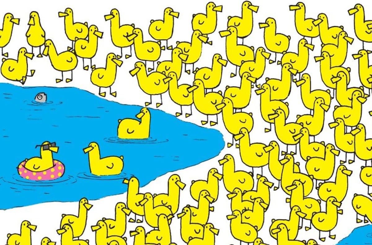 Acertijo visual: Ubica al pollito bebé oculto en los patos