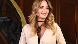 Las telenovelas en las que actuó Andrea Legarreta