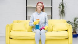 Elimina las manchas de tu sillón con estos ingredientes caseros