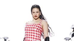 Rosalía en el Zócalo de CDMX: Claudia Sheinbaum anuncia megaconcierto e internautas reaccionan con memes