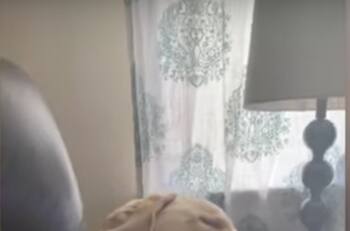 Video viral: Perro "soñador" la rompe con sus muecas en la red
