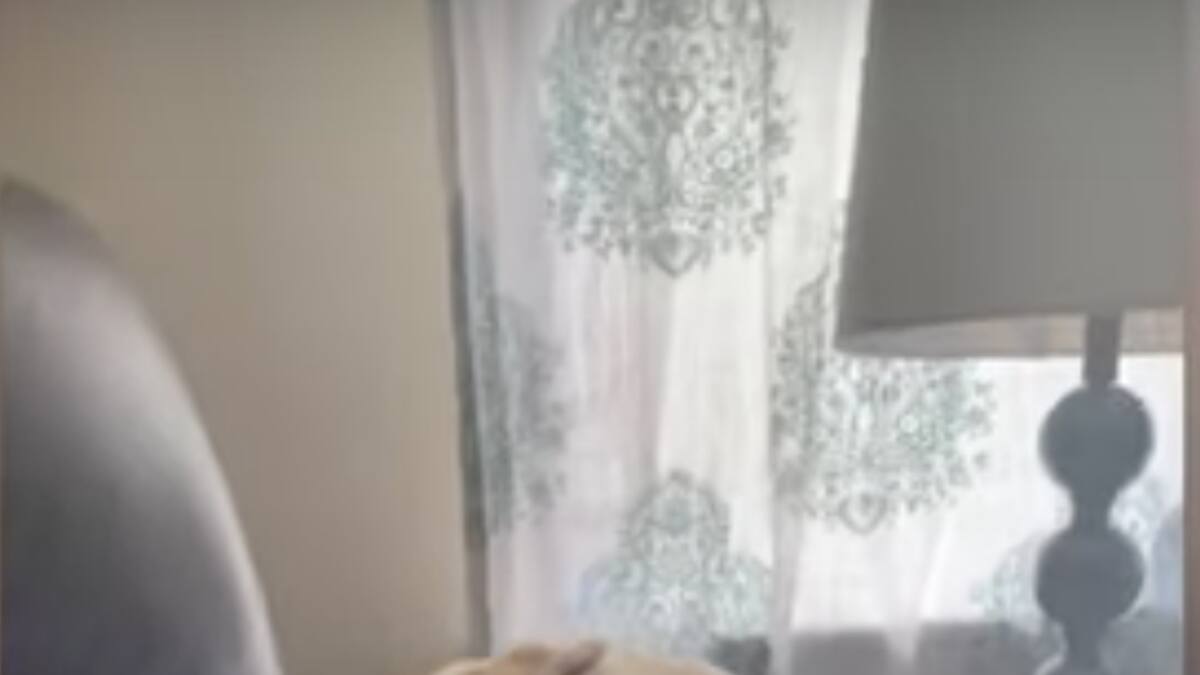 Video viral: Perro "soñador" la rompe con sus muecas en la red