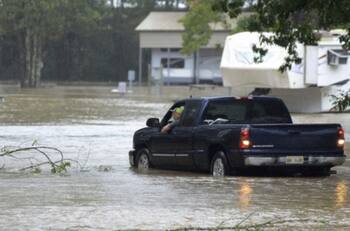 Caimán arranca brazo a un hombre de 71 años en zona inundada