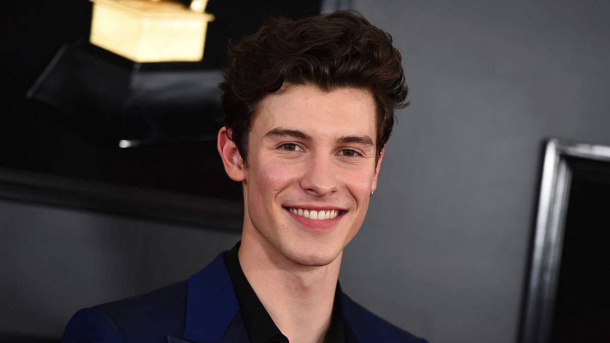 Estos son los mejores memes tras la visita de Shaw Mendes