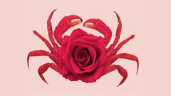 Test de personalidad: ¿Te consideras astuta? Ve la imagen y descúbrelo