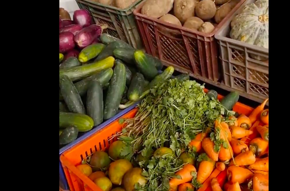 Hambre global aumenta 40% por precios altos de alimentos, Covid y clima, reporta ONU