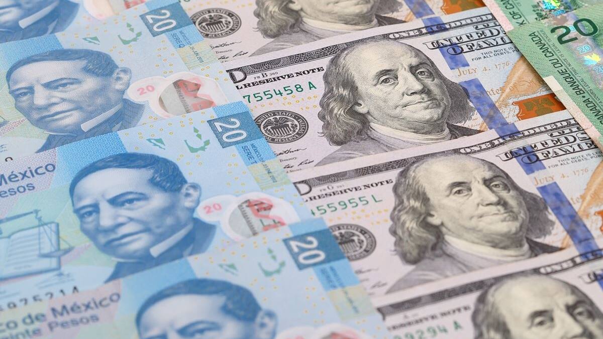 Precio del dólar en México: revisa valor de compra y venta para este 10 de mayo