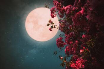 Luna rosa 2023: Realiza alguno de estos rituales durante esta luna llena y atrae a tu vida amor y abundancia