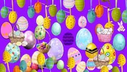 Encuentra al conejo de Pascua en este acertijo visual