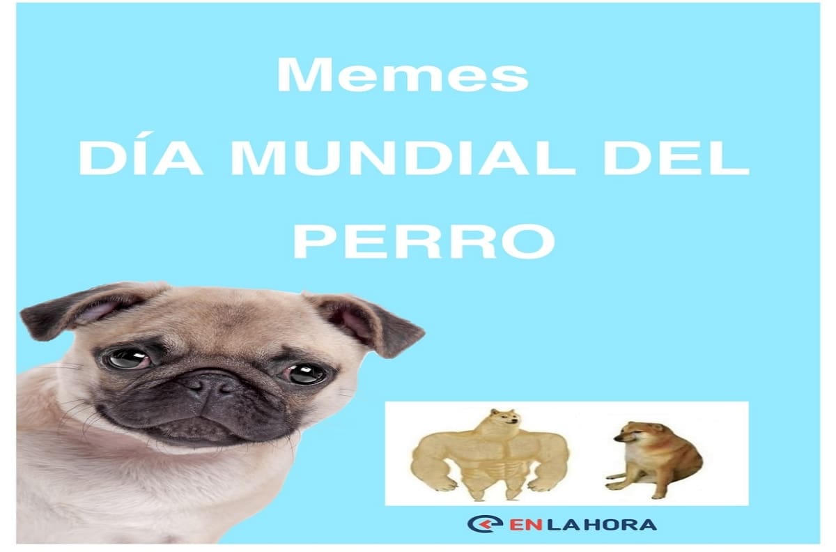 Día Mundial del Perro: Estos son los mejores memes que hay en la red