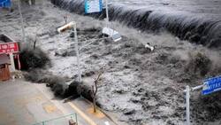 VIDEO| Así se vivieron el Terremoto y Tsunami que azotaron a Japón en 2011