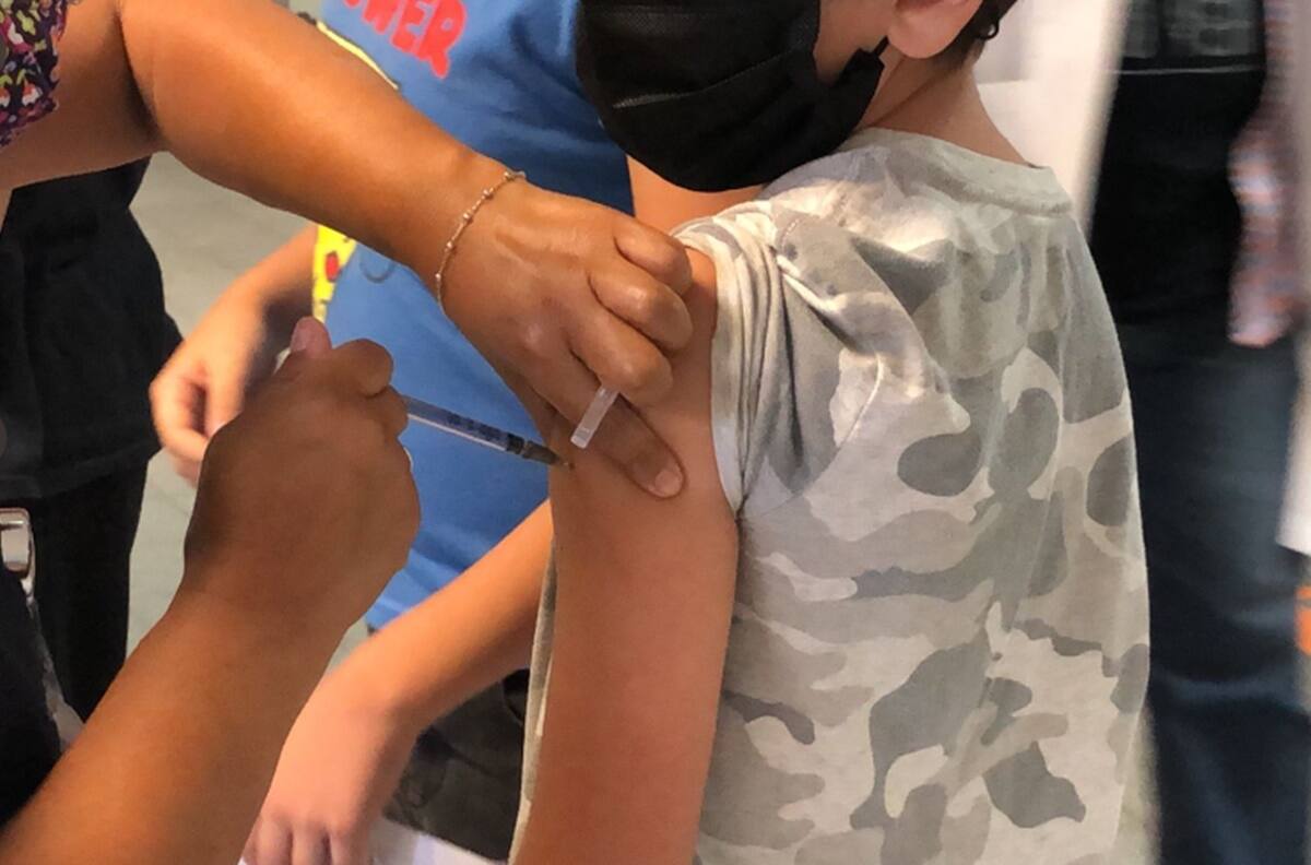 ¡Último día! Para vacunar a los niños de 8 años contra Covid-19 en la CDMX