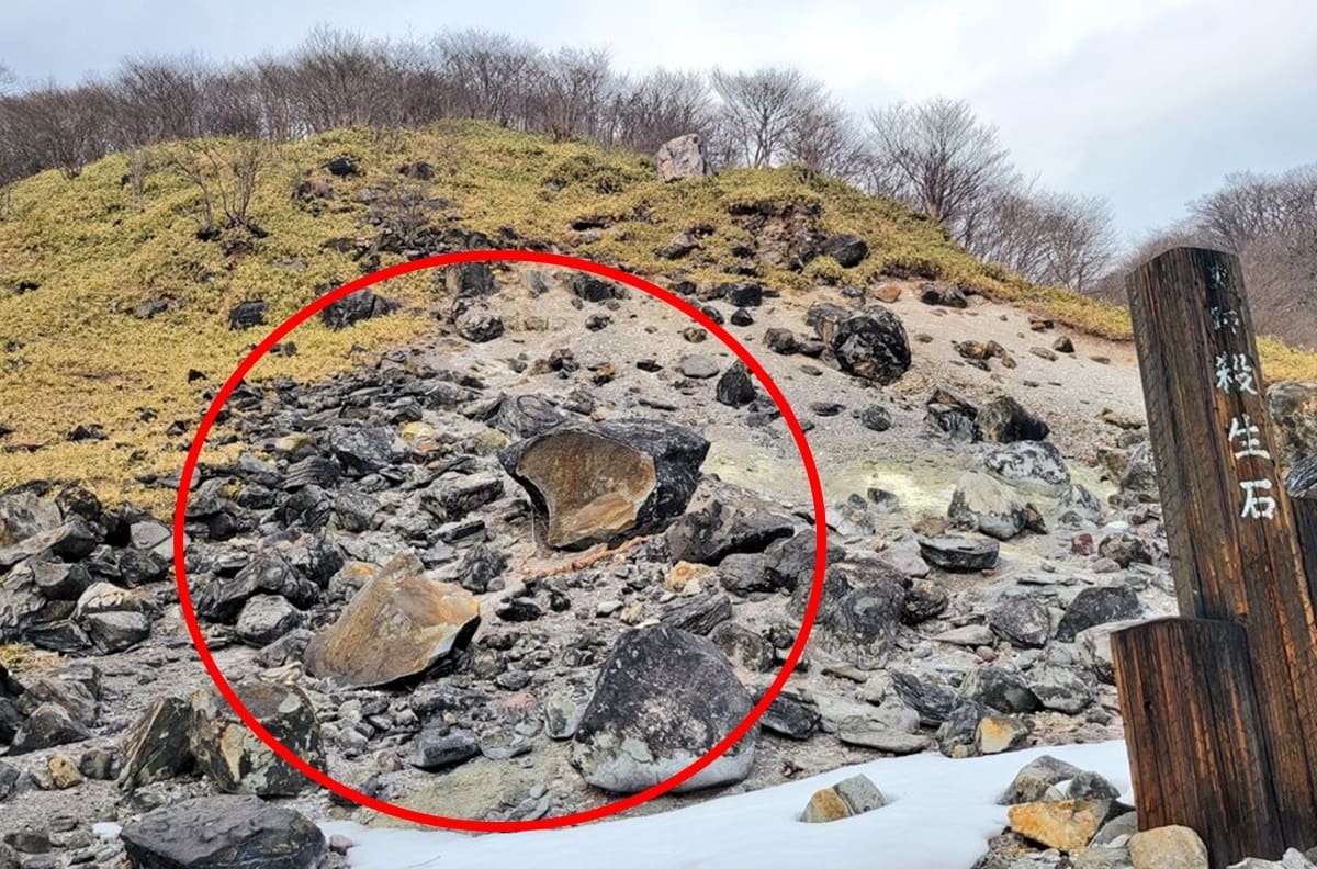 "Piedra asesina" que alberga un demonio dentro se parte en dos en Japón
