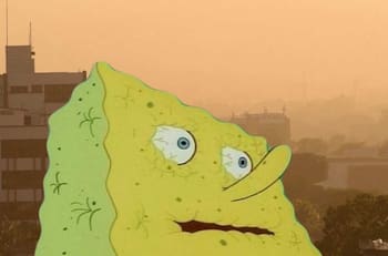 Estos son los mejores memes de las altas temperaturas que hay en México