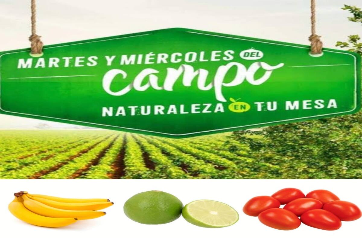 Martes y miércoles del campo en Soriana: Frutas y verduras en oferta este 15 y 16 de noviembre