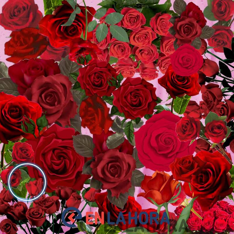 Solución del acertijo del grillo