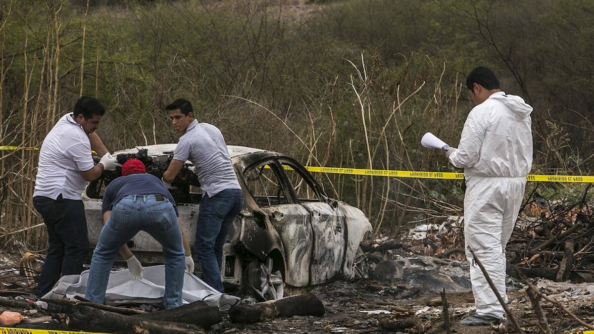 Identifican a otros nueve guatemaltecos entre víctimas calcinadas en Tamaulipas