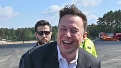 Elon Musk: Surgen los memes por la llegada de Tesla a Nuevo León