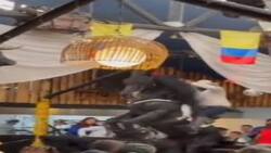 Video: Espectáculo ecuestre en restaurante de Bogotá casi termina en tragedia