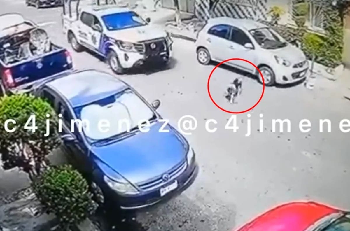 VIDEO | Patrulla de Nezahualcóyotl atropelló a un perrito