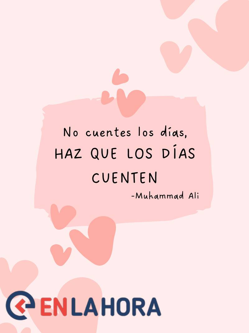 Deseamos que la frase del día sea de tu agrado