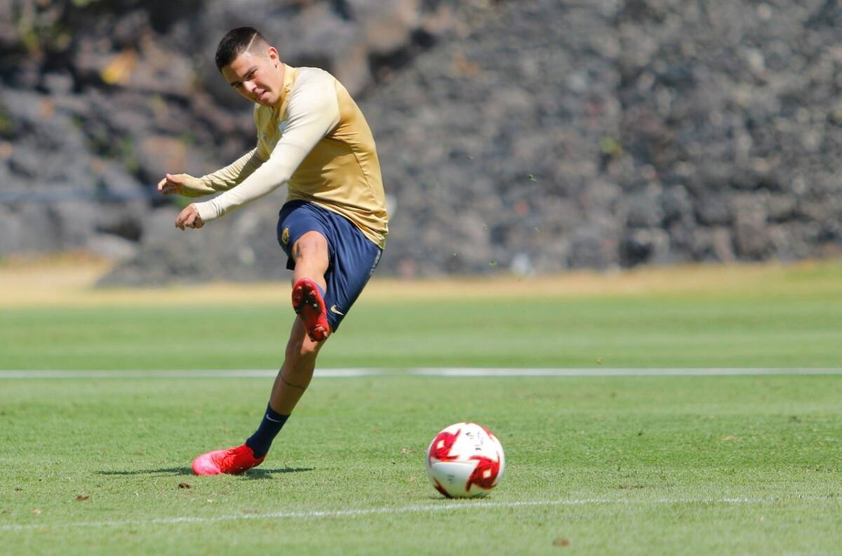 Pumas: Marco García podría enfrentar una orden de aprehensión
