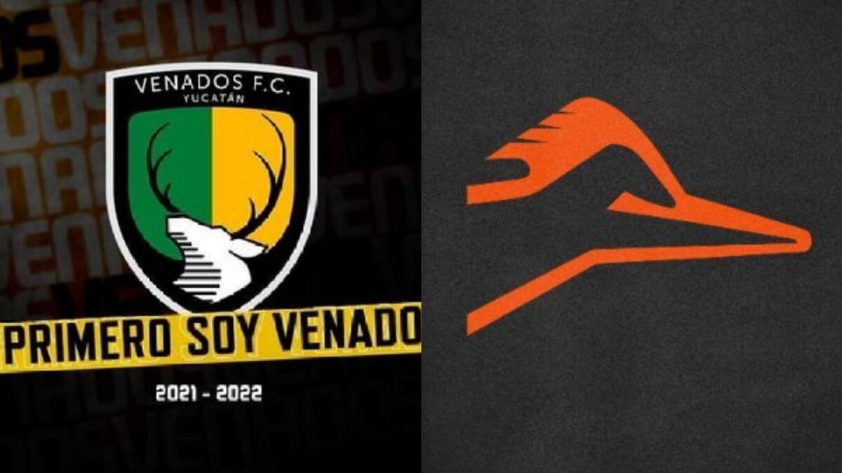 Hora y dónde ver Venados vs Correcaminos: Sigue aquí la Liga de Expansión