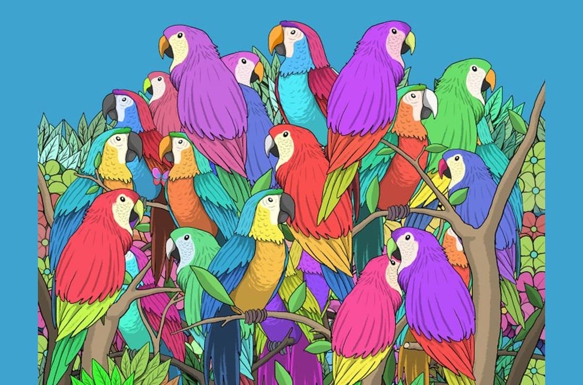 Acertijo visual: Encuentra a la mariposa escondida entre los loros en menos de 10 segundos