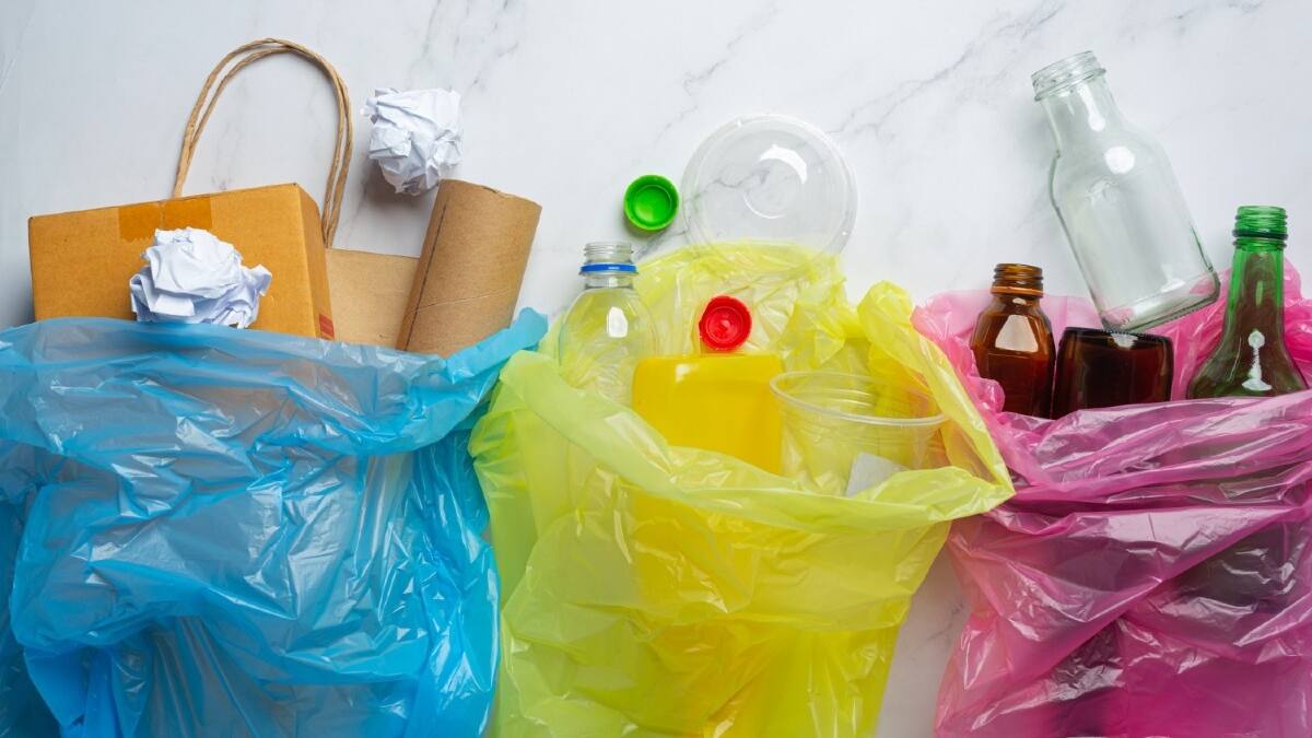 Día Mundial del Medio Ambiente: Esta es la manera correcta de separar la basura