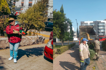 No abandones a tu arbolito de Navidad, mejor recíclalo en los siguientes lugares de la CDMX