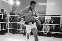 Las 5 mejores peleas en la historia del boxeo: Muhammad Ali protagonizó una de ellas