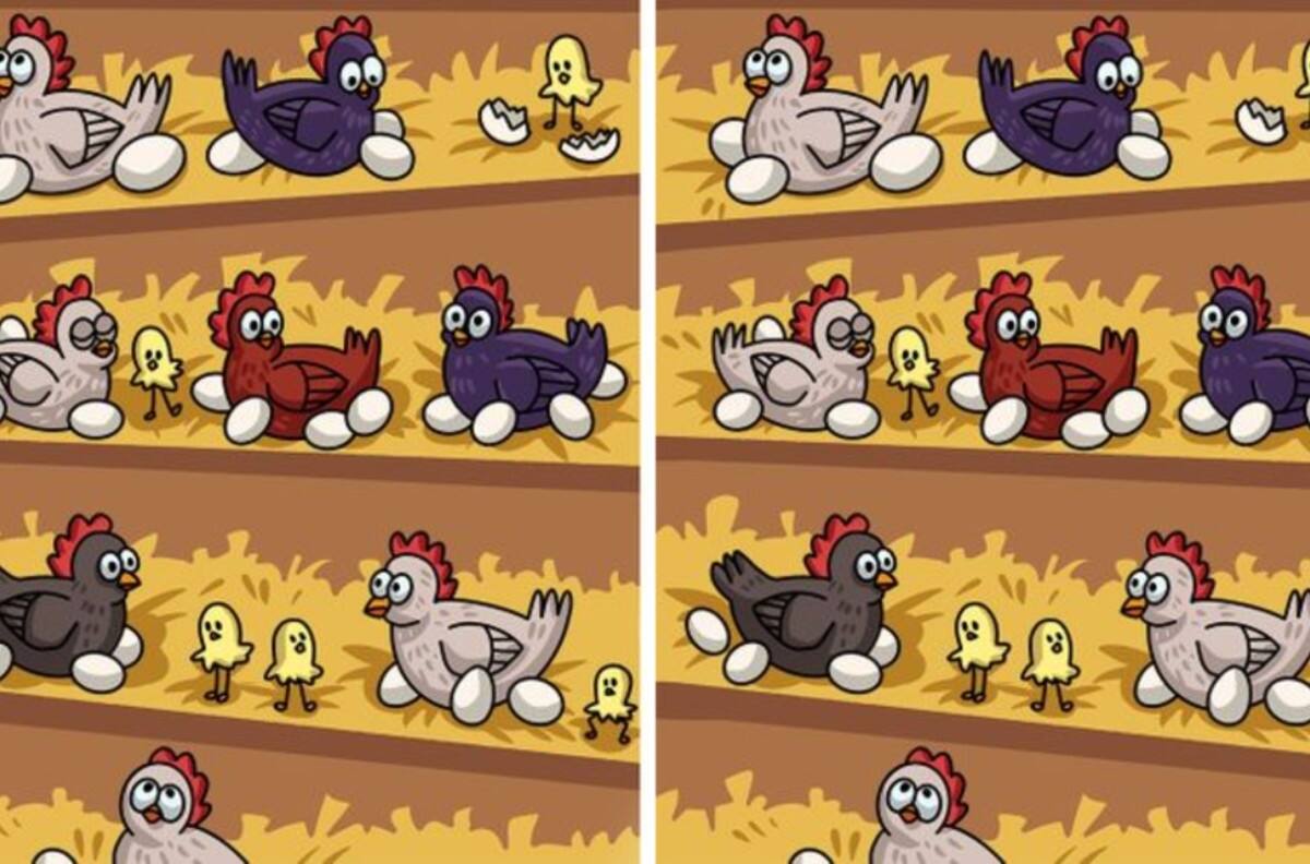 Acertijos visuales: Tienes 4 segundos para encontrar las diferencias entre las gallinas