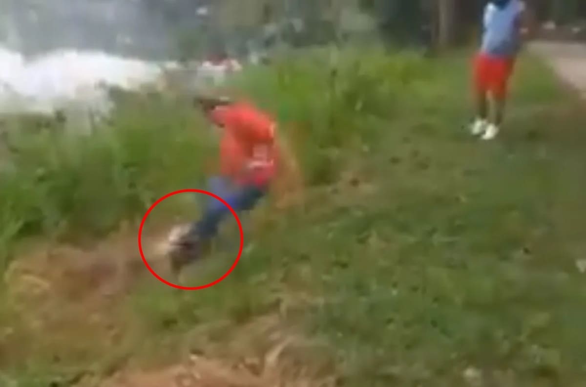 VIDEO | Cocodrilo mordió a un hombre borracho en una laguna en Tabasco