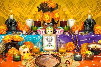 Carta a mi mascota: Puede que te hayas marchado, pero este Día de Muertos te espero