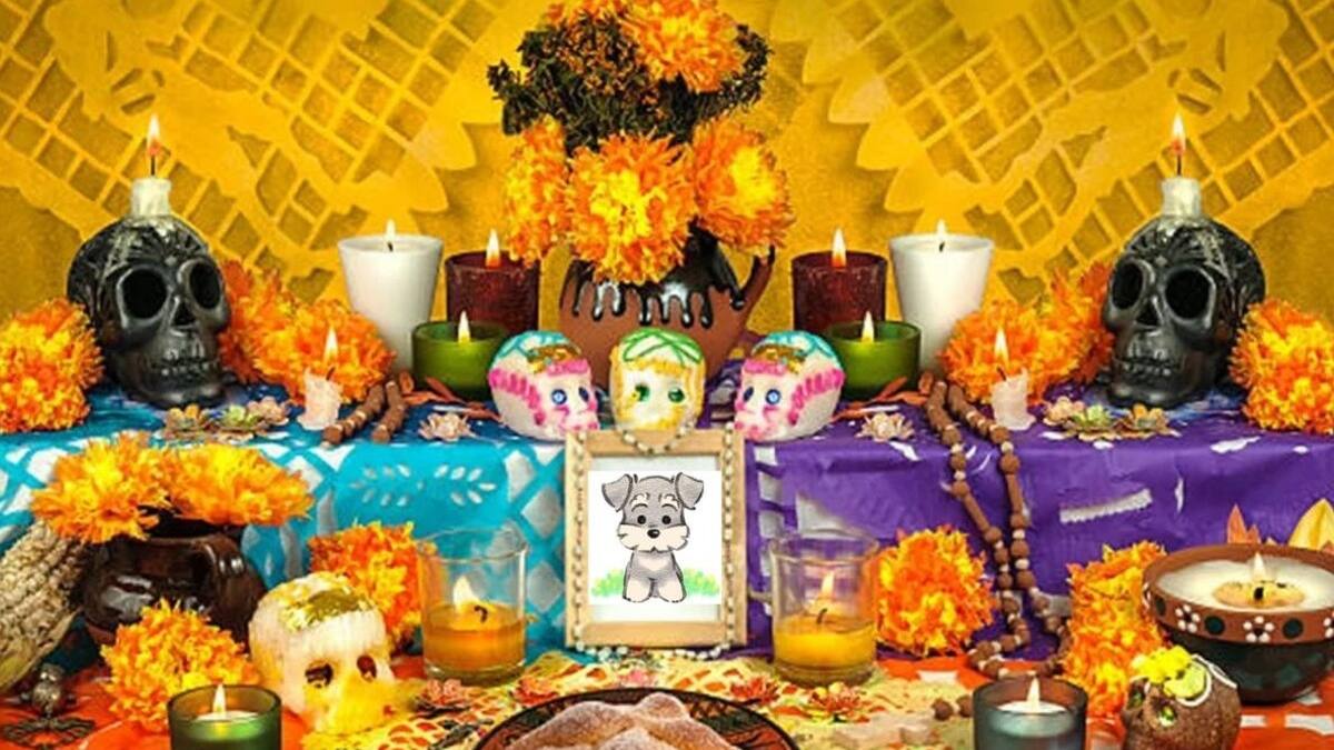 Carta a mi mascota: Puede que te hayas marchado, pero este Día de Muertos te espero